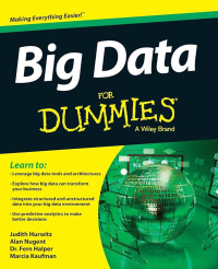 Image of Big Data for Dummies